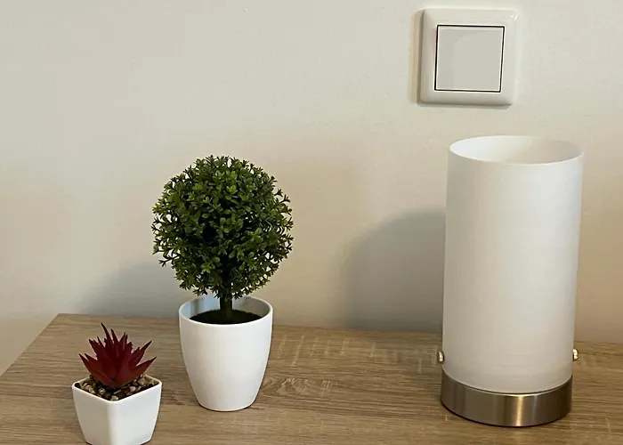 Apartment Schleitime *